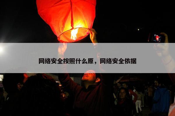 网络安全按照什么原，网络安全依据