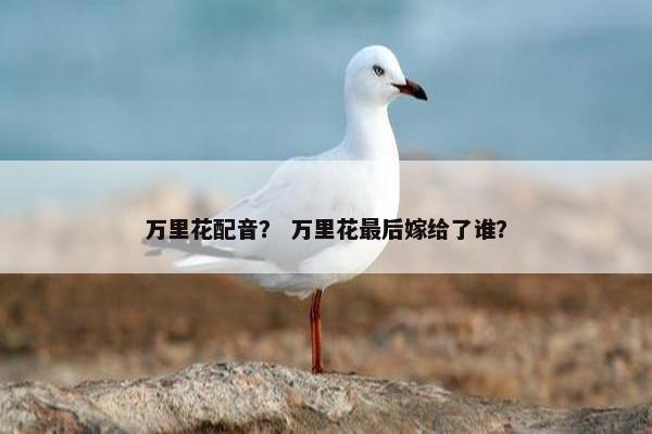 万里花配音？ 万里花最后嫁给了谁？