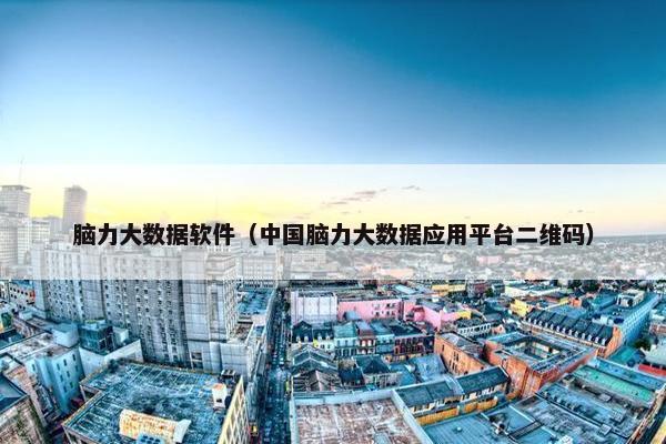 脑力大数据软件（中国脑力大数据应用平台二维码）