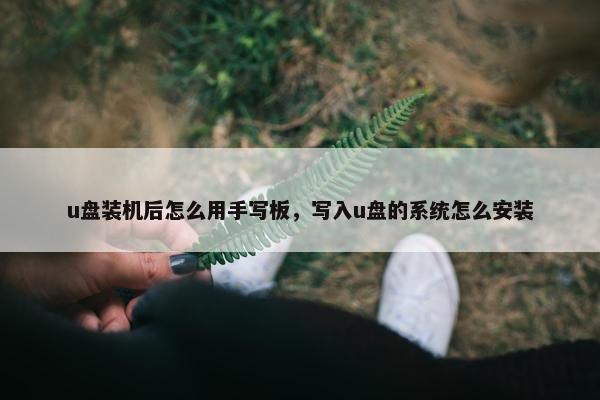 u盘装机后怎么用手写板，写入u盘的系统怎么安装