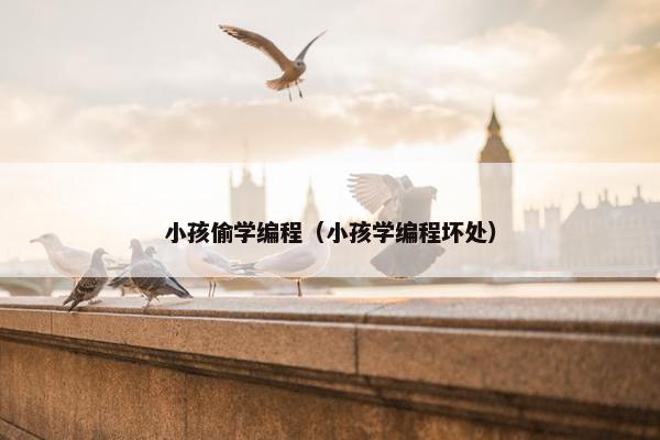 小孩偷学编程（小孩学编程坏处）