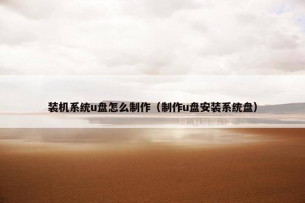 装机系统u盘怎么制作（制作u盘安装系统盘）