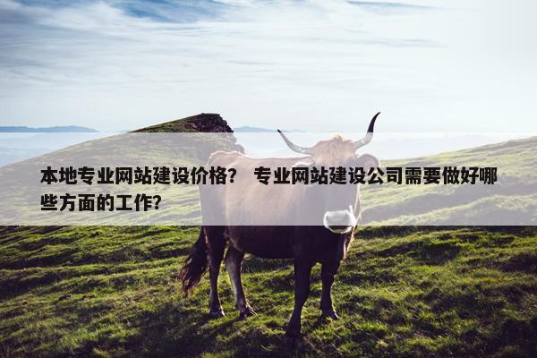 本地专业网站建设价格？ 专业网站建设公司需要做好哪些方面的工作？