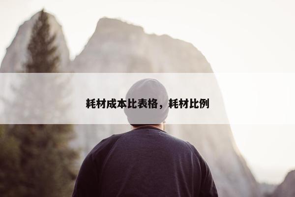 耗材成本比表格，耗材比例