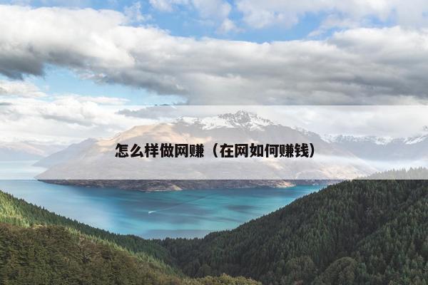 怎么样做网赚（在网如何赚钱）