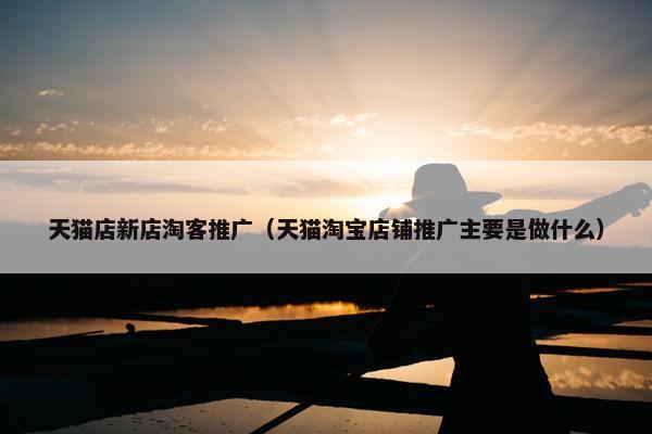天猫店新店淘客推广（天猫淘宝店铺推广主要是做什么）