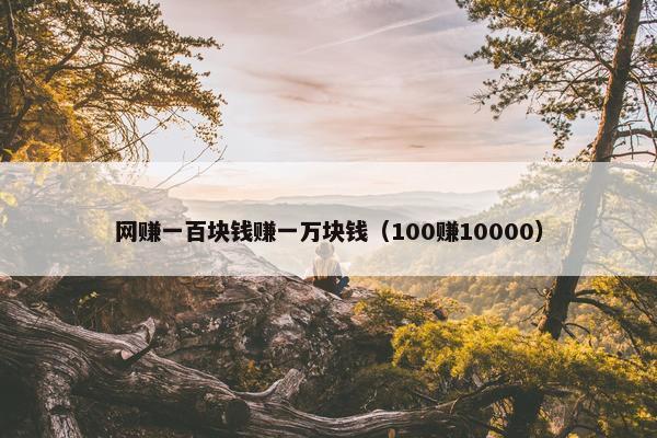 网赚一百块钱赚一万块钱（100赚10000）