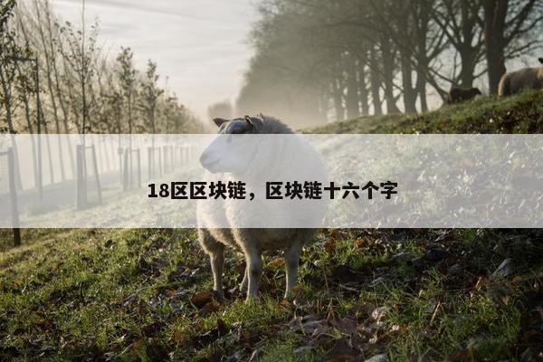 18区区块链，区块链十六个字