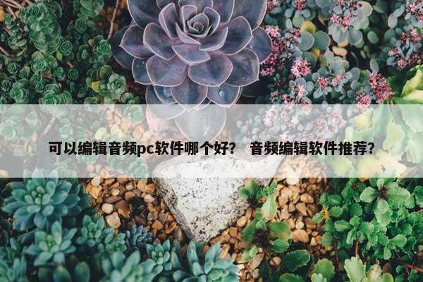可以编辑音频pc软件哪个好？ 音频编辑软件推荐？