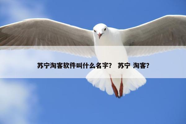 苏宁淘客软件叫什么名字？ 苏宁 淘客？