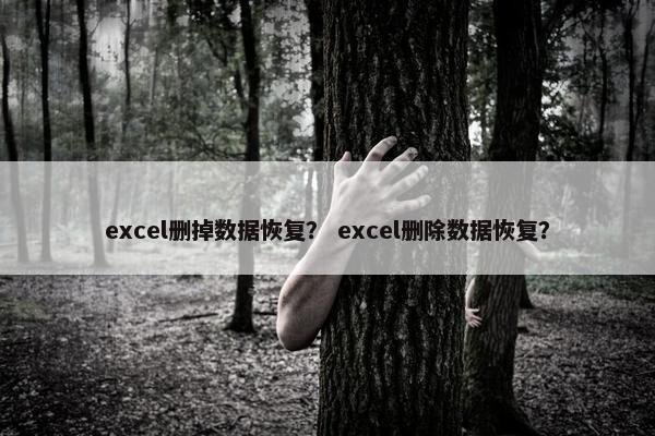 excel删掉数据恢复？ excel删除数据恢复？