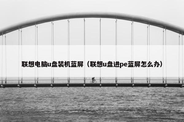 联想电脑u盘装机蓝屏（联想u盘进pe蓝屏怎么办）