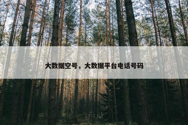 大数据空号，大数据平台电话号码