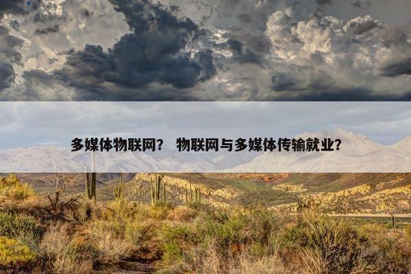 多媒体物联网？ 物联网与多媒体传输就业？