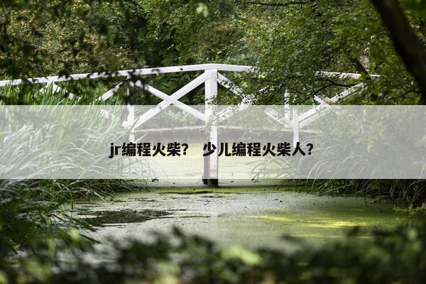 jr编程火柴？ 少儿编程火柴人？