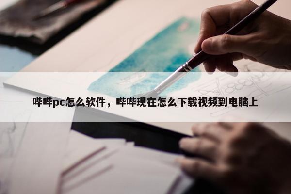 哔哔pc怎么软件，哔哔现在怎么下载视频到电脑上