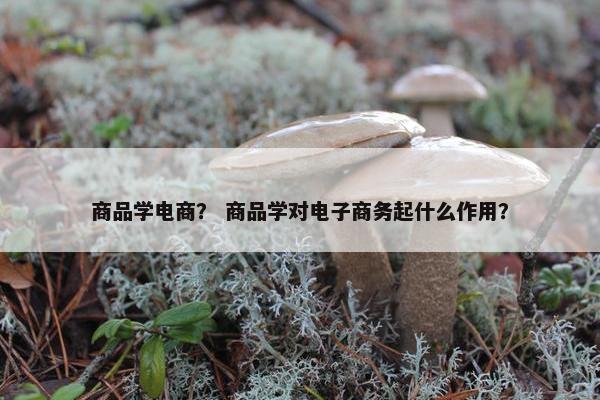 商品学电商？ 商品学对电子商务起什么作用？