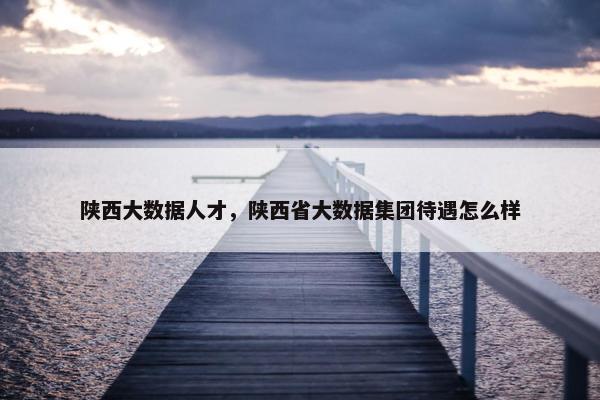 陕西大数据人才，陕西省大数据集团待遇怎么样