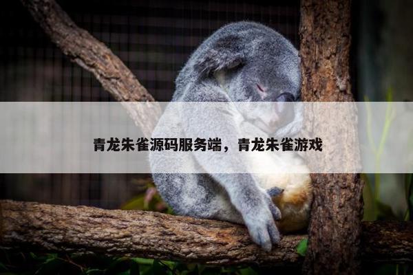 青龙朱雀源码服务端，青龙朱雀游戏