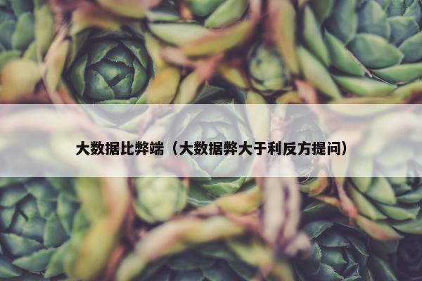 大数据比弊端（大数据弊大于利反方提问）