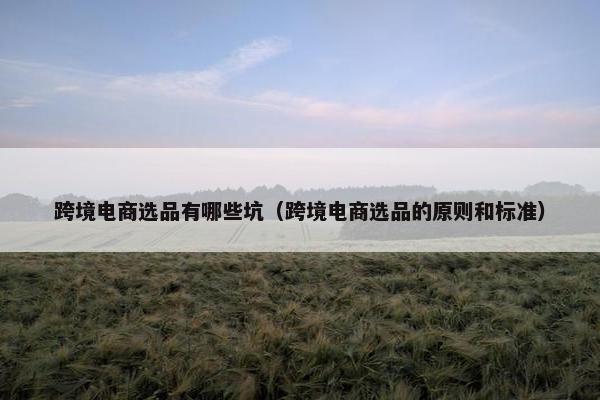 跨境电商选品有哪些坑（跨境电商选品的原则和标准）