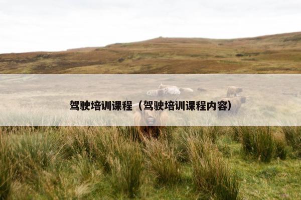 驾驶培训课程（驾驶培训课程内容）