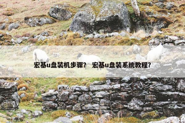 宏基u盘装机步骤？ 宏基u盘装系统教程？