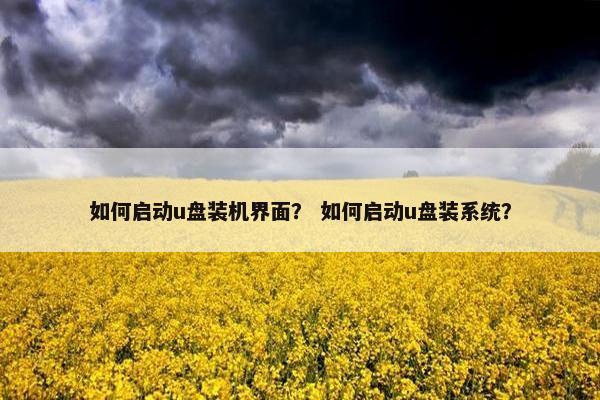 如何启动u盘装机界面？ 如何启动u盘装系统？