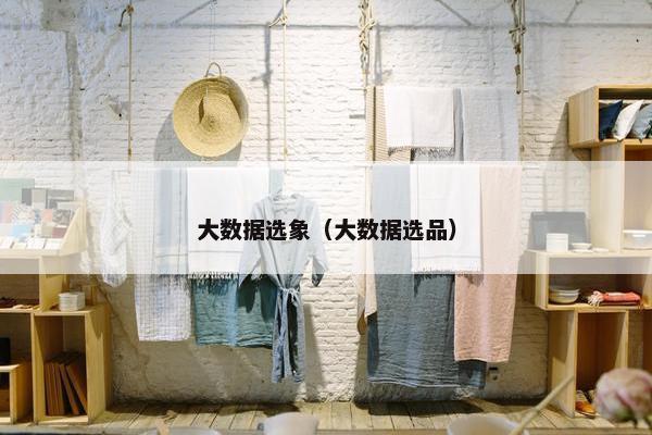 大数据选象（大数据选品）