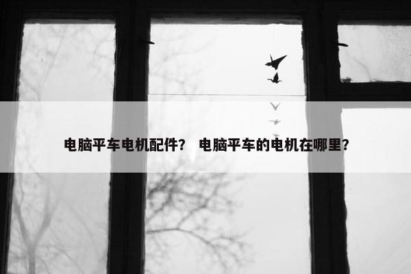 电脑平车电机配件？ 电脑平车的电机在哪里？