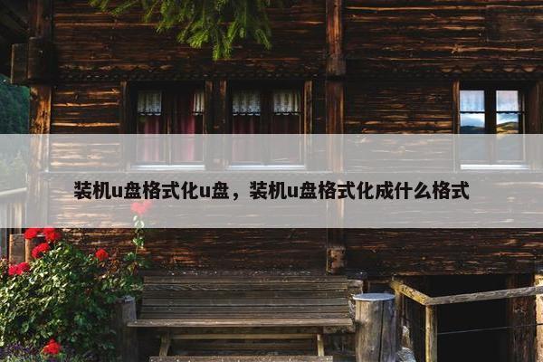 装机u盘格式化u盘，装机u盘格式化成什么格式