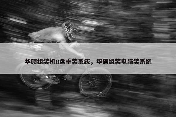 华硕组装机u盘重装系统，华硕组装电脑装系统