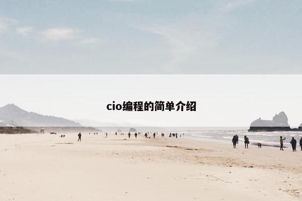 cio编程的简单介绍