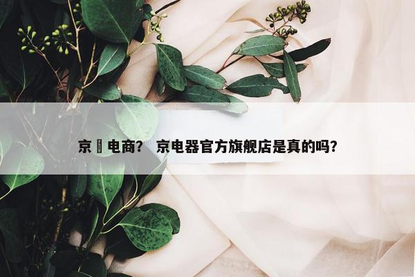 京囍电商？ 京电器官方旗舰店是真的吗？