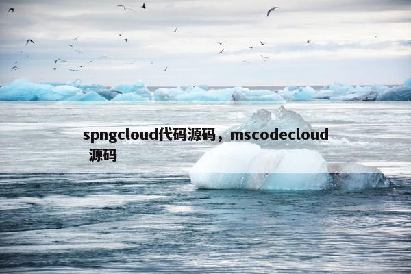 spngcloud代码源码，mscodecloud 源码
