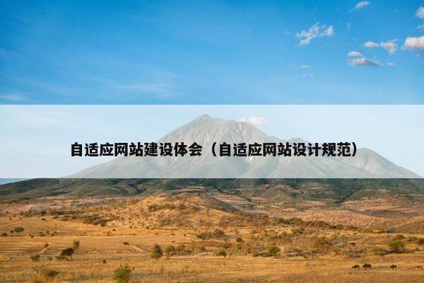 自适应网站建设体会（自适应网站设计规范）