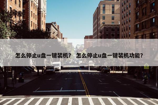 怎么停止u盘一键装机？ 怎么停止u盘一键装机功能？