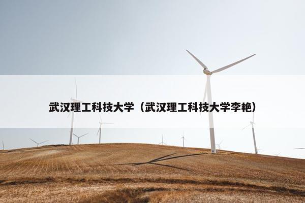 武汉理工科技大学（武汉理工科技大学李艳）