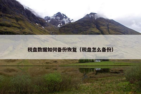 税盘数据如何备份恢复（税盘怎么备份）