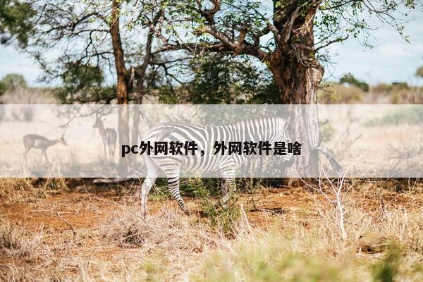 pc外网软件，外网软件是啥