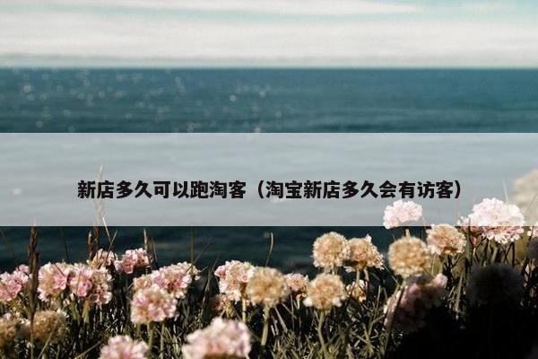 新店多久可以跑淘客（淘宝新店多久会有访客）
