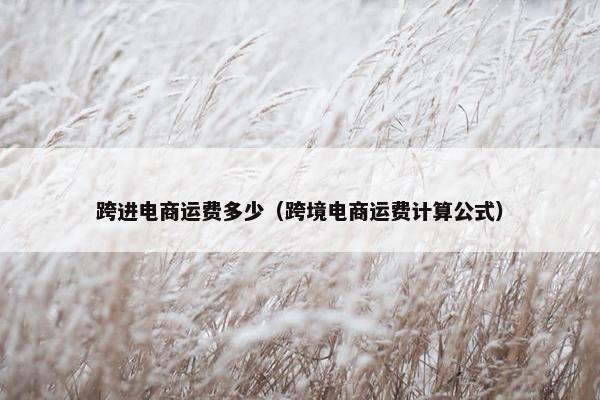 跨进电商运费多少（跨境电商运费计算公式）