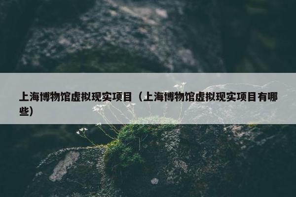 上海博物馆虚拟现实项目(上海博物馆虚拟现实项目有哪些) 上海博物馆虚拟现实项目(上海博物馆虚拟现实项目有哪些)