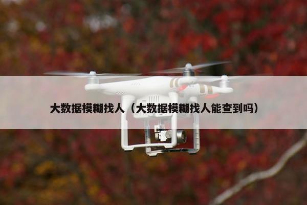 大数据模糊找人（大数据模糊找人能查到吗）