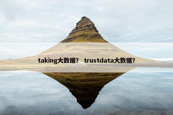 taking大数据？ trustdata大数据？