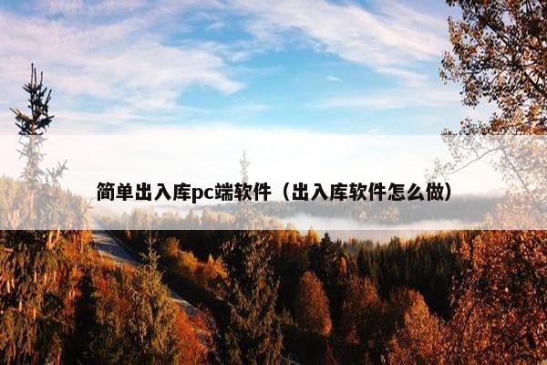 简单出入库pc端软件（出入库软件怎么做）