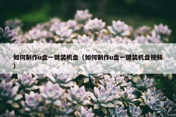 如何制作u盘一键装机盘（如何制作u盘一键装机盘视频）