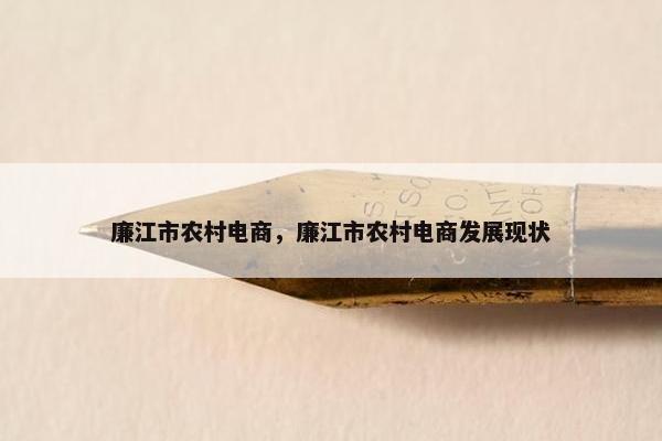 廉江市农村电商，廉江市农村电商发展现状