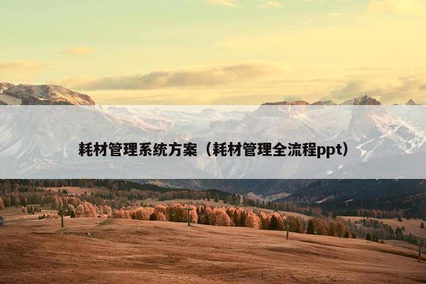 耗材管理系统方案（耗材管理全流程ppt）