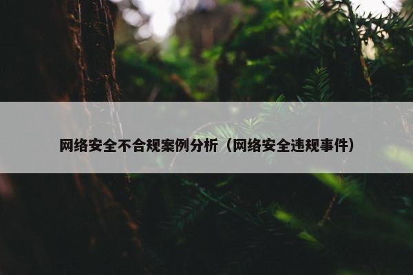 网络安全不合规案例分析(网络安全违规事件) 网络安全不合规案例分析(网络安全违规事件)